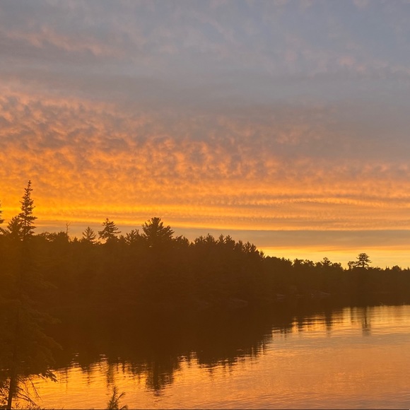 Meet your Posher, Isabelle - Picture 1 of 1